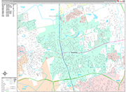 Round Rock Wall Map Premium Style